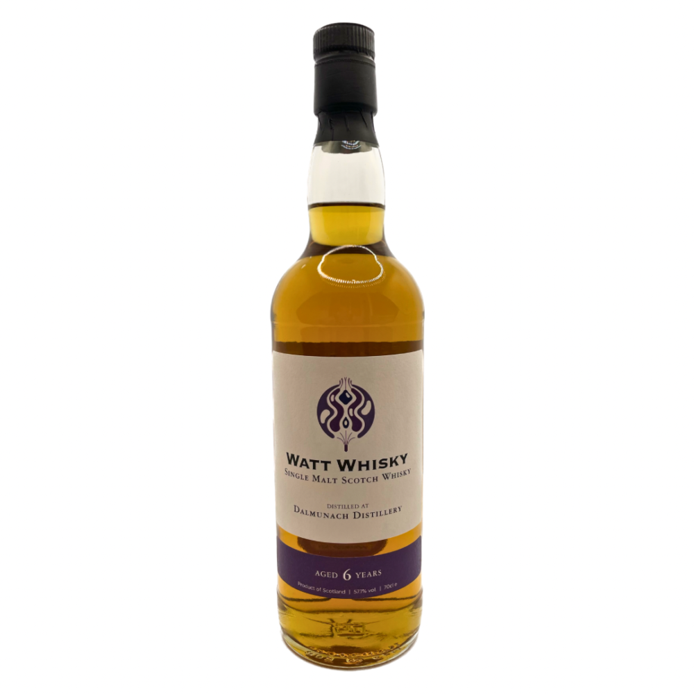Dalmunach 6yo