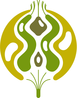 Lime 8